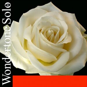 Wondertone Solo