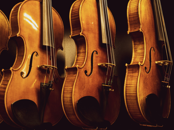 violines.png