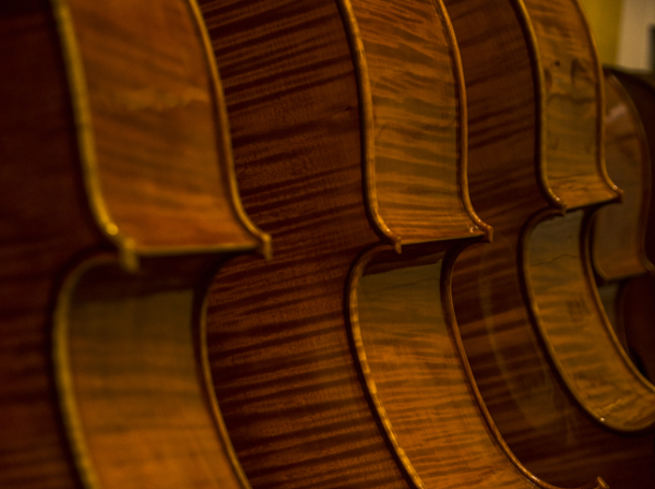 violoncello.png