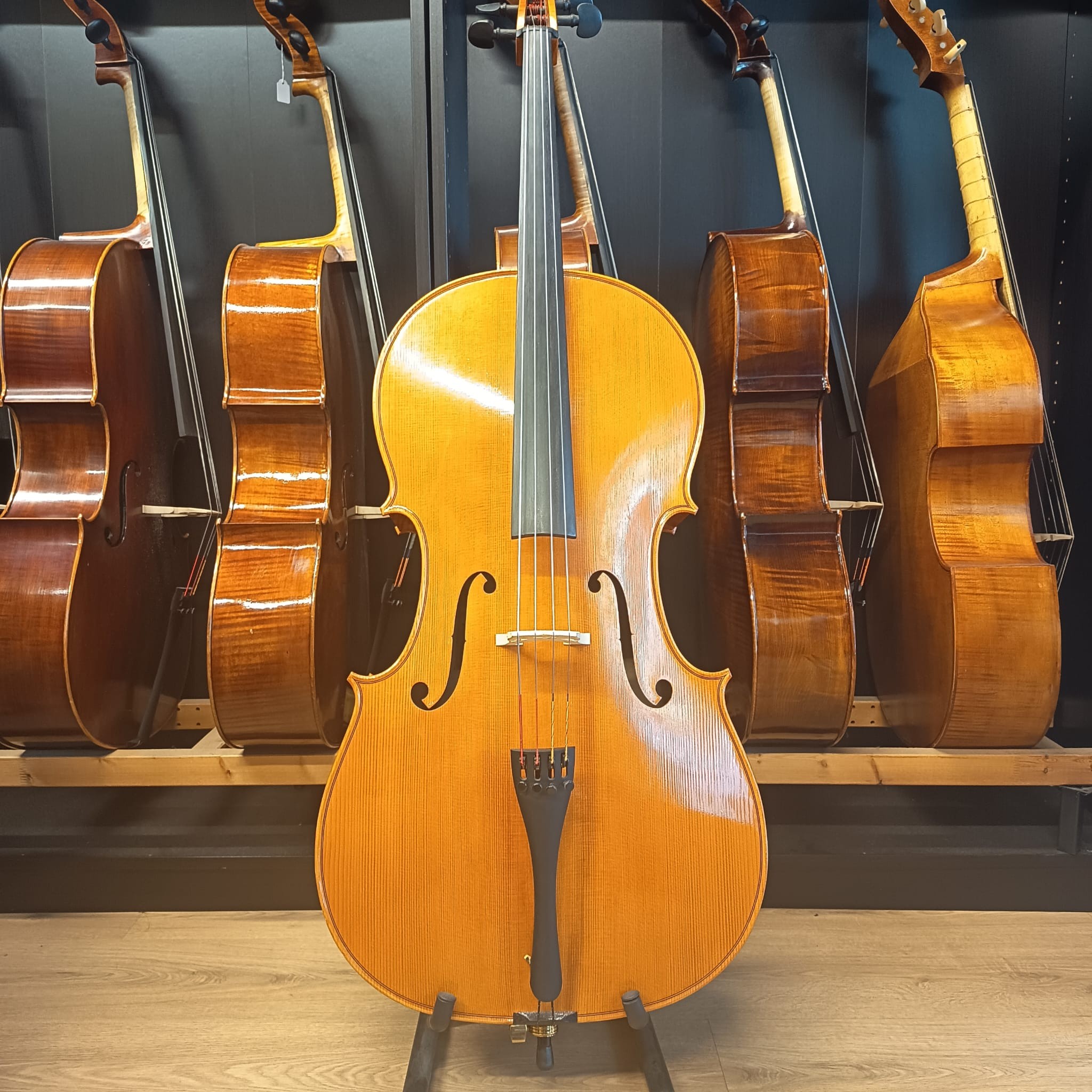 VIOLONCHELO MARIO GIO (Cod. 009)
