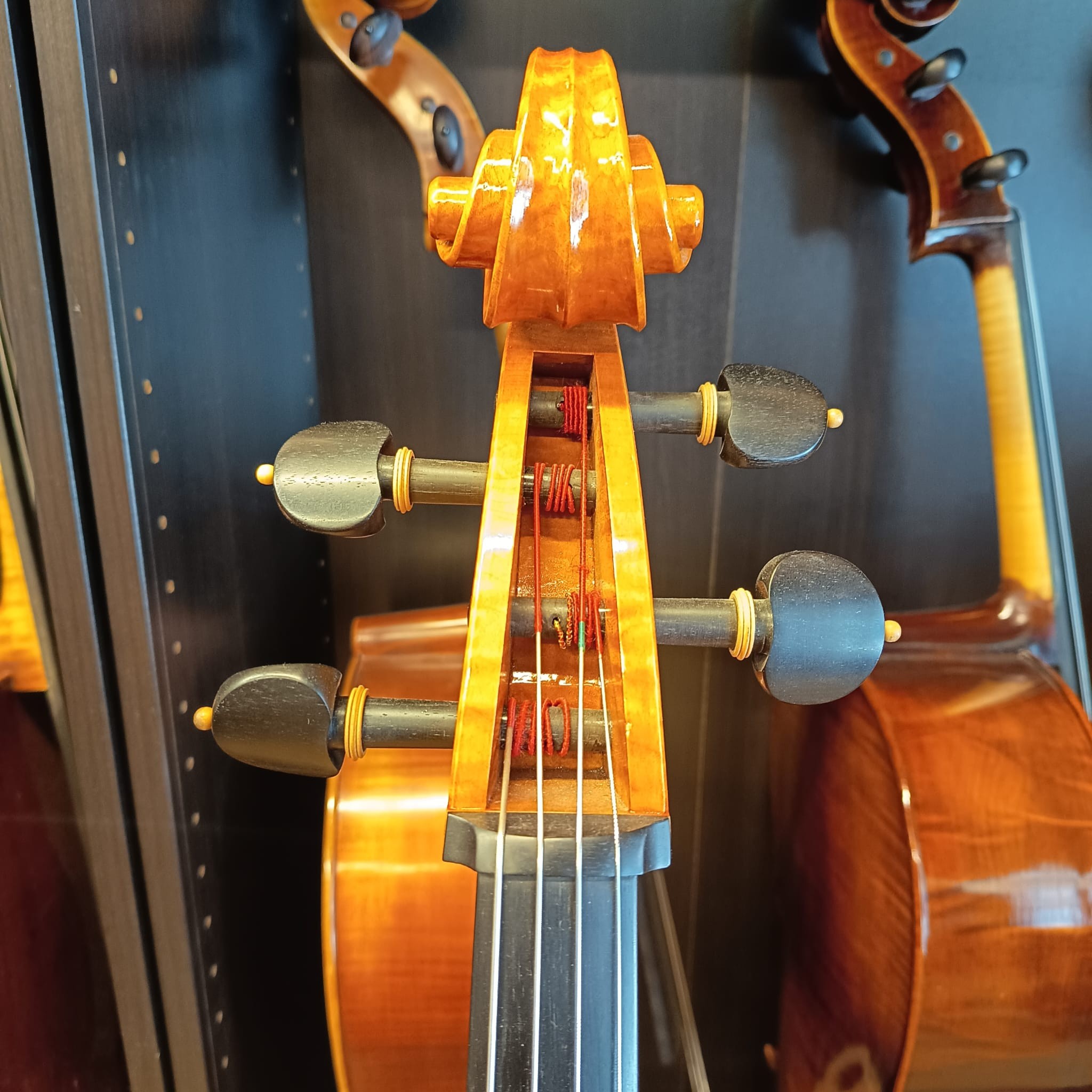 VIOLONCHELO MARIO GIO (Cod.001)