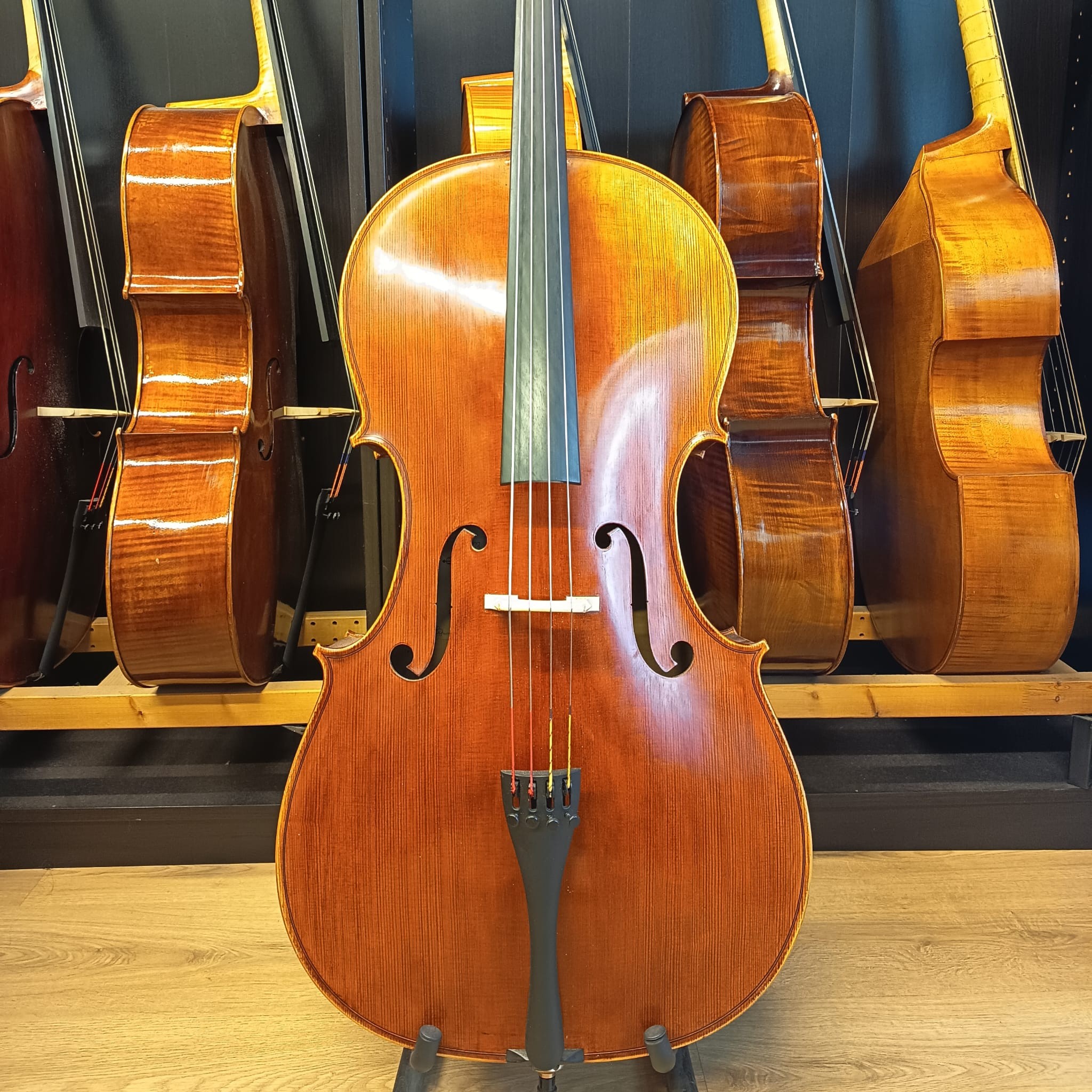VIOLONCHELO MARIO GIO (Cod.008)
