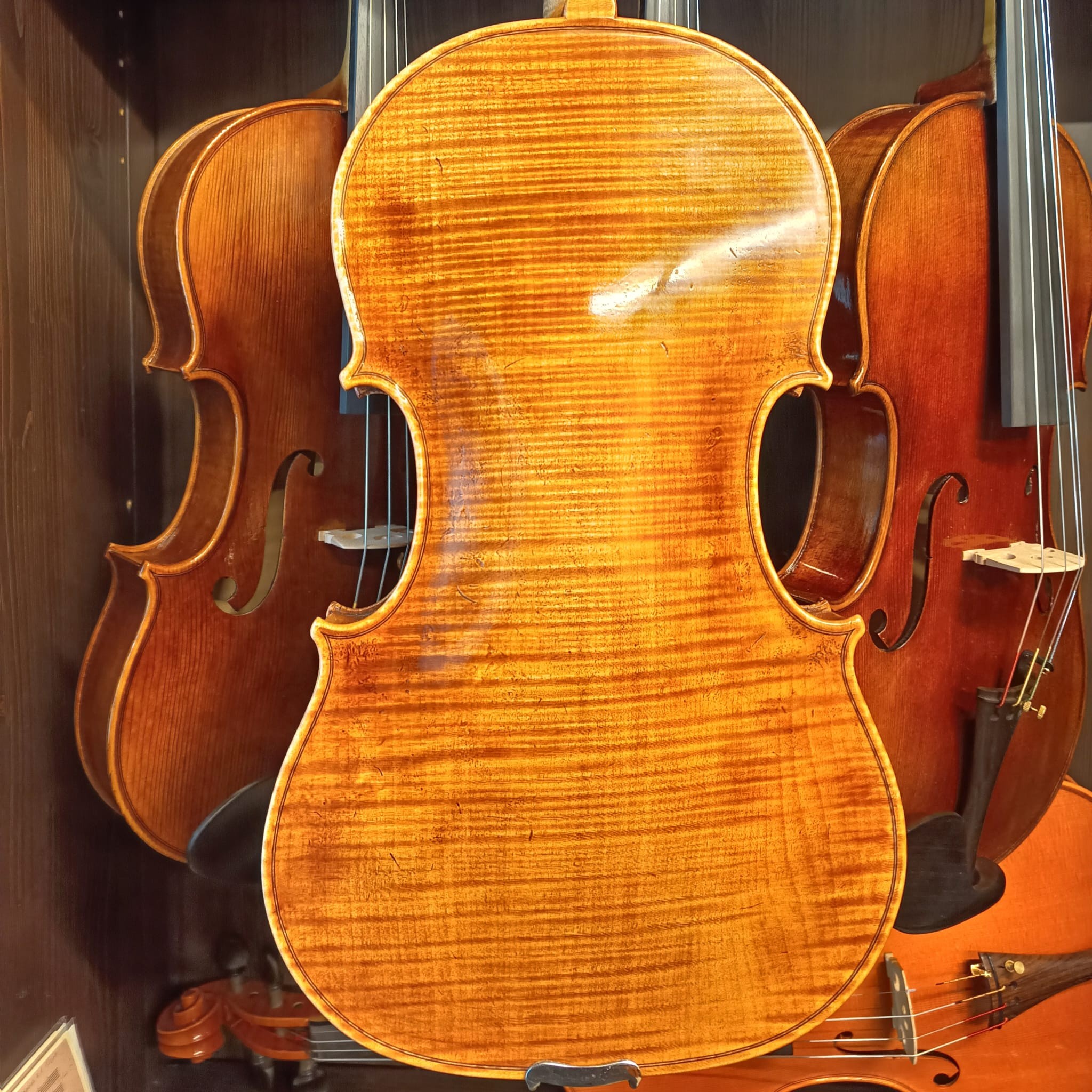 VIOLA MARIO GIO 16" FLORENCIA 2024 (Cod.005)