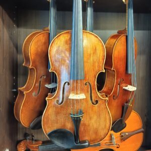 VIOLA MARIO GIO 16″ FLORENCIA 2024 (Cod.005)