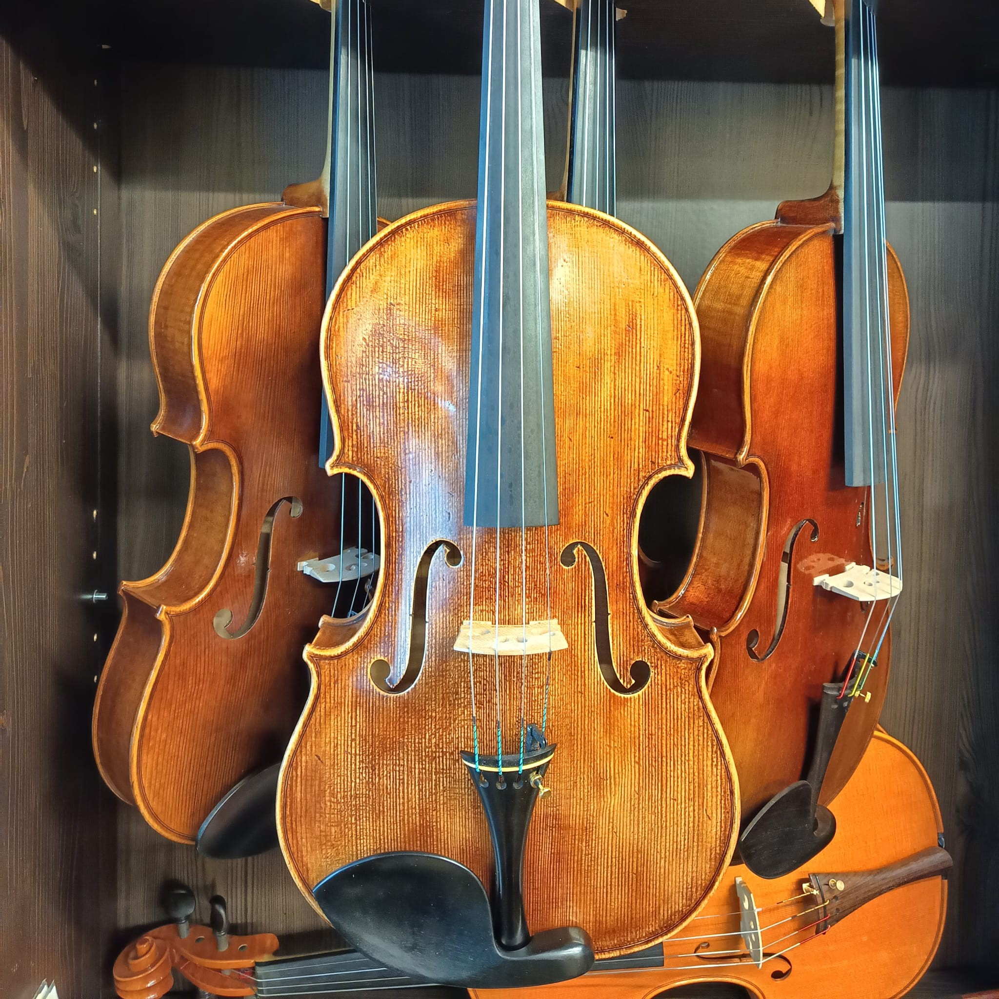 VIOLA MARIO GIO 16" FLORENCIA 2024 (Cod.005)