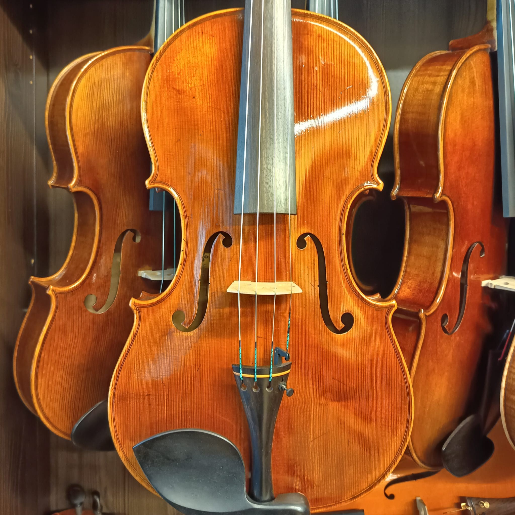 VIOLA MARIO GIO 16" 2021 (Cod.004)