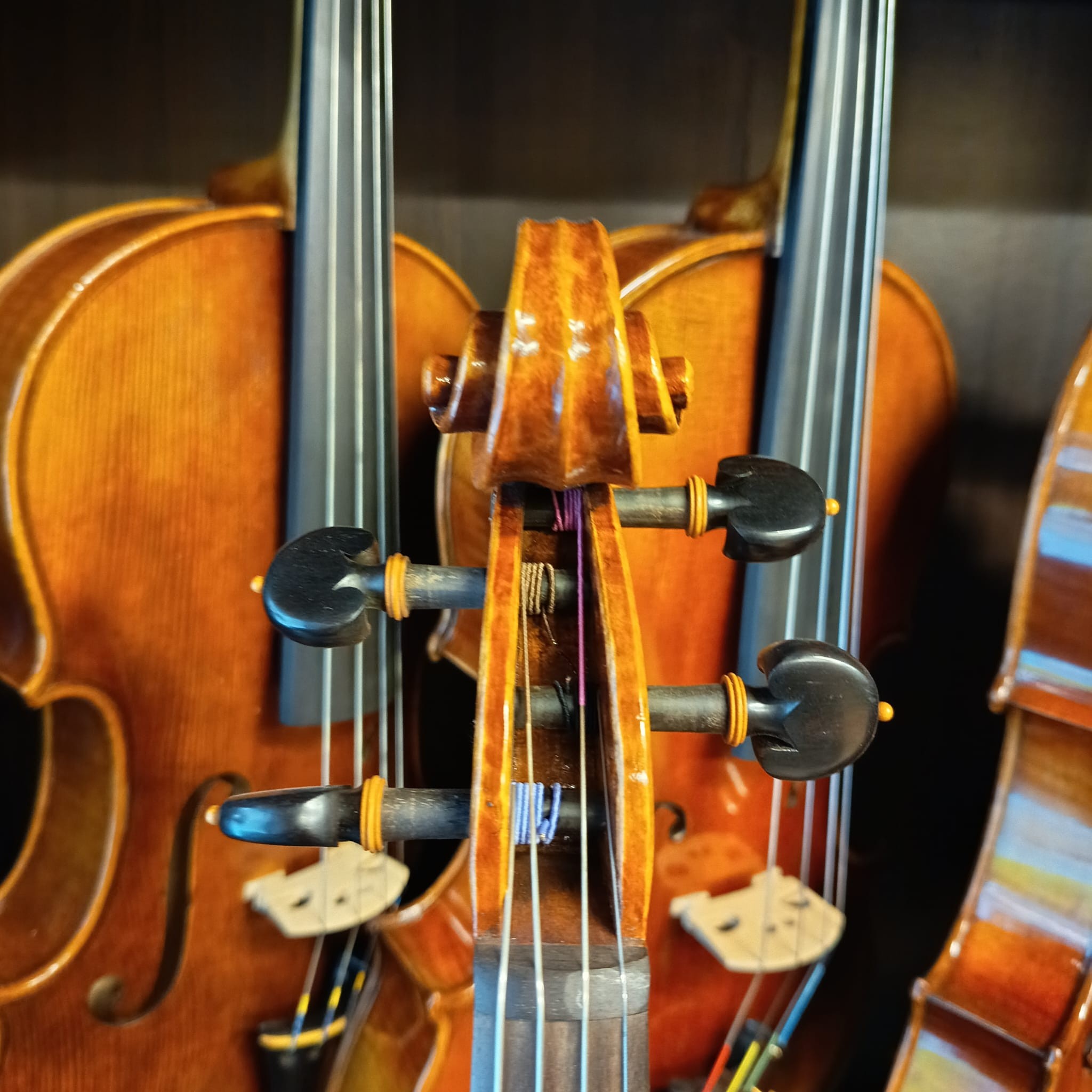 VIOLA MARIO GIO 16" 2021 (Cod.004)