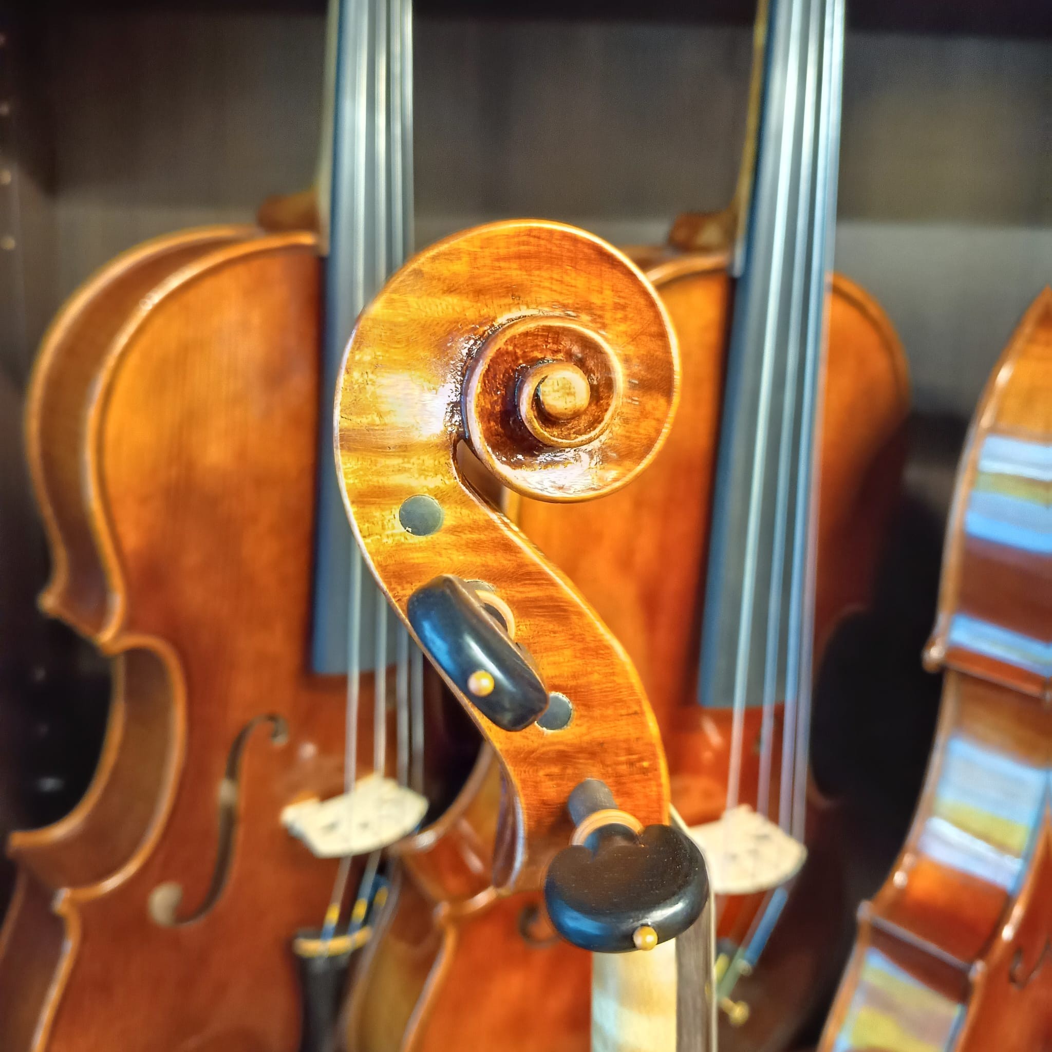 VIOLA MARIO GIO 16" 2021 (Cod.004)