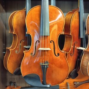 VIOLA MARIO GIO 16″ 2025 (Cod.006)