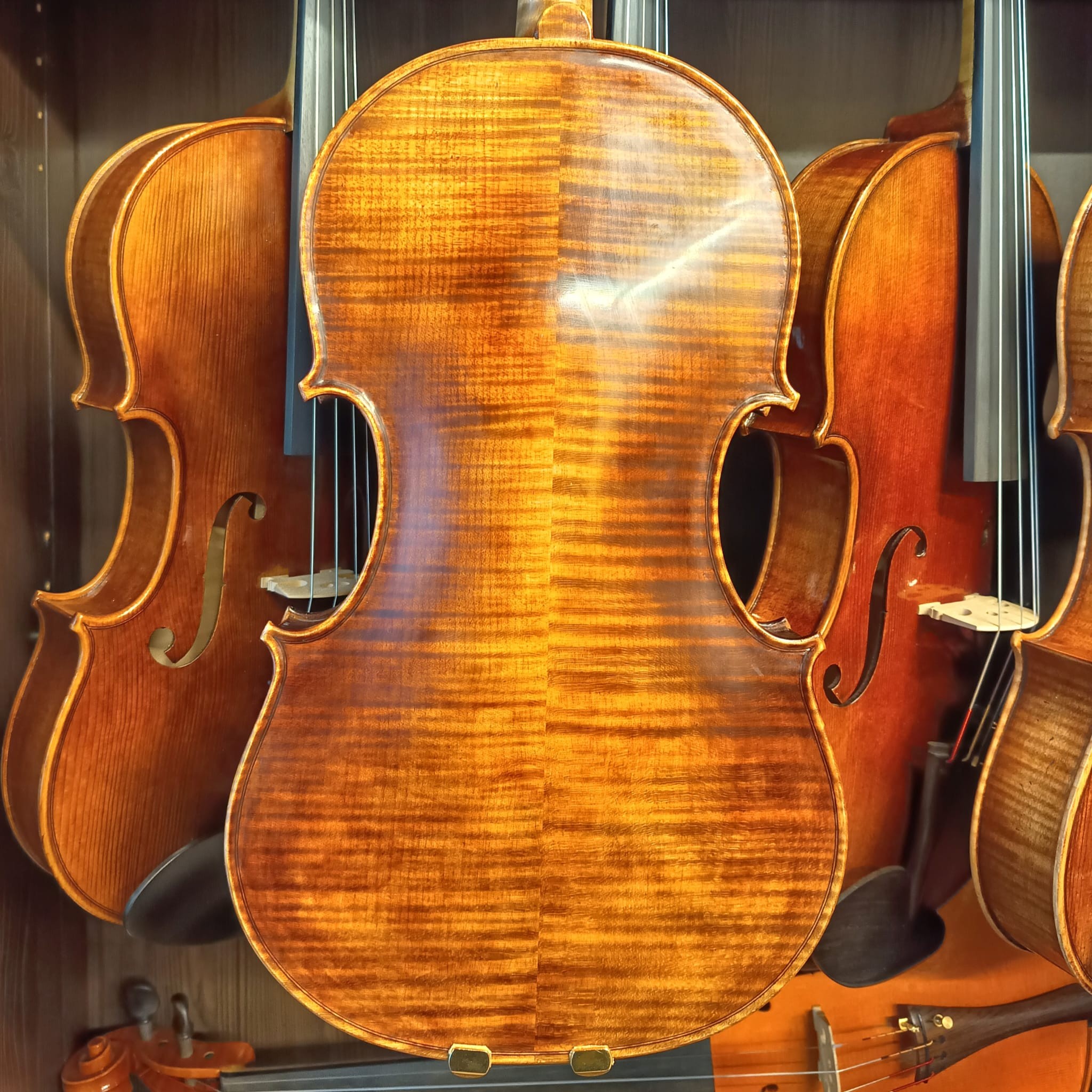 VIOLA MARIO GIO 15,5" 2025 (Cod.010)