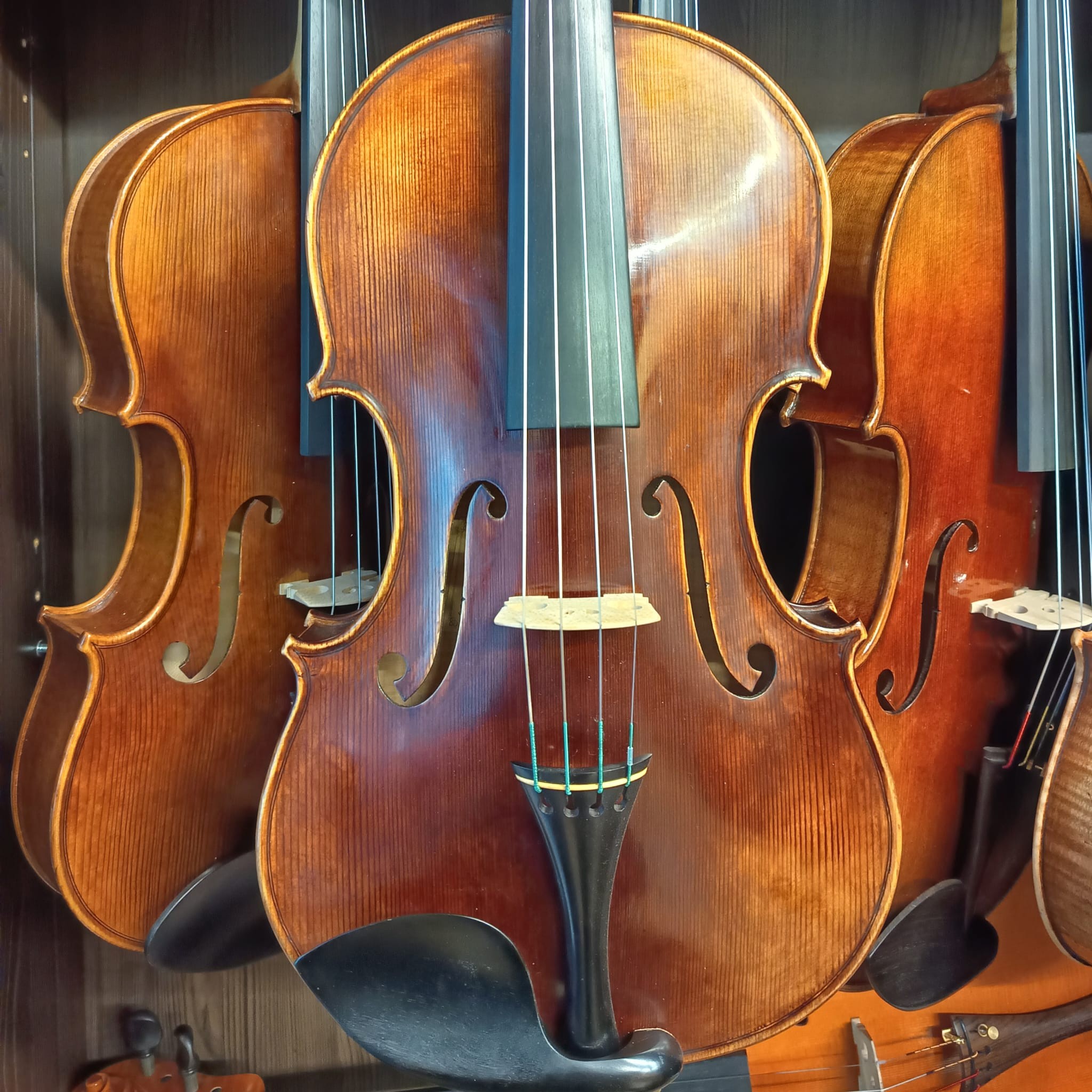 VIOLA MARIO GIO 15,5" 2025 (Cod.010)