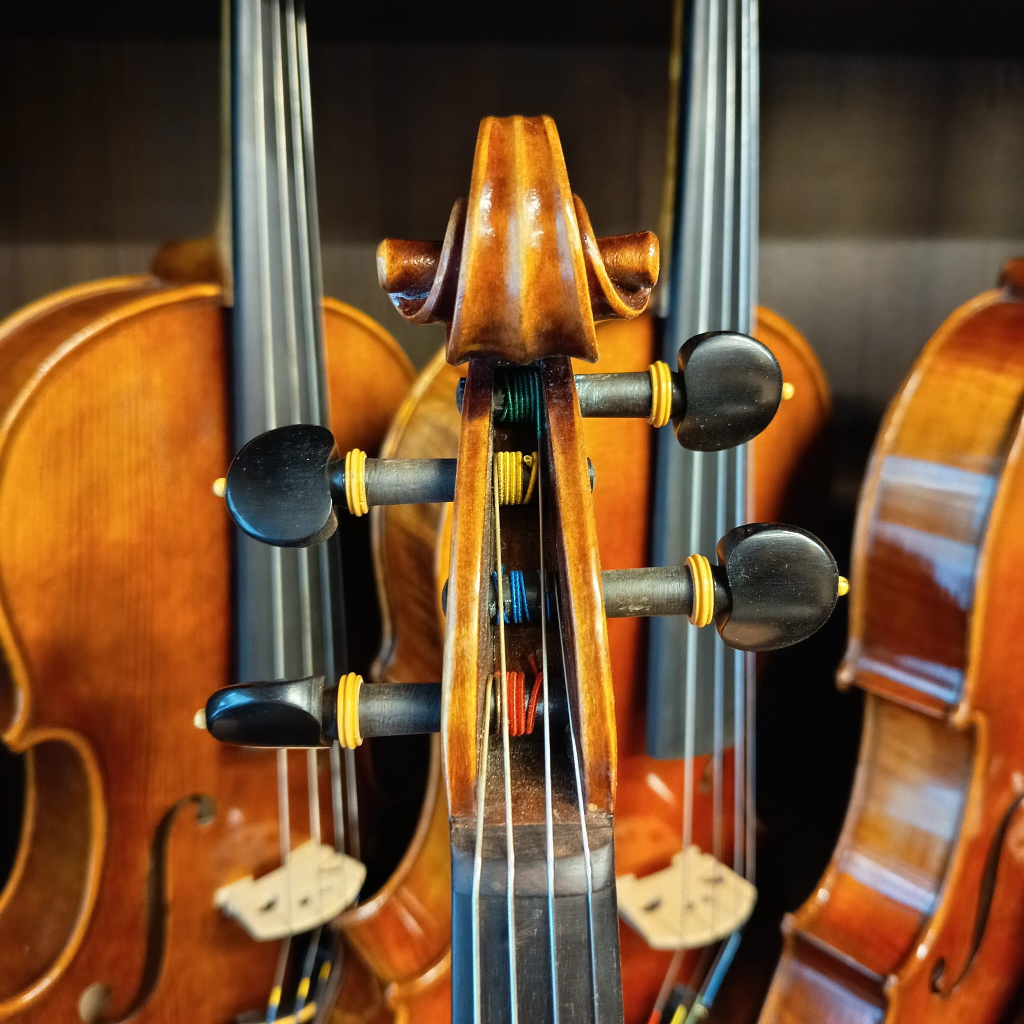 VIOLA MARIO GIO 15,5" 2025 (Cod.010)
