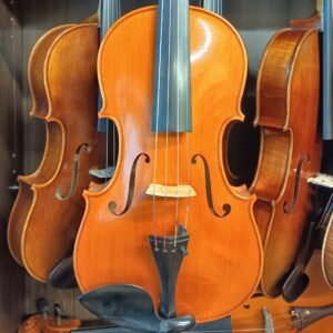 VIOLA MARIO GIO 16″ 2019 (Cod.002)