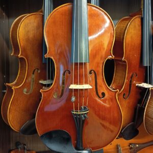 VIOLA MARIO GIO 16″ 2024 (Cod.009)