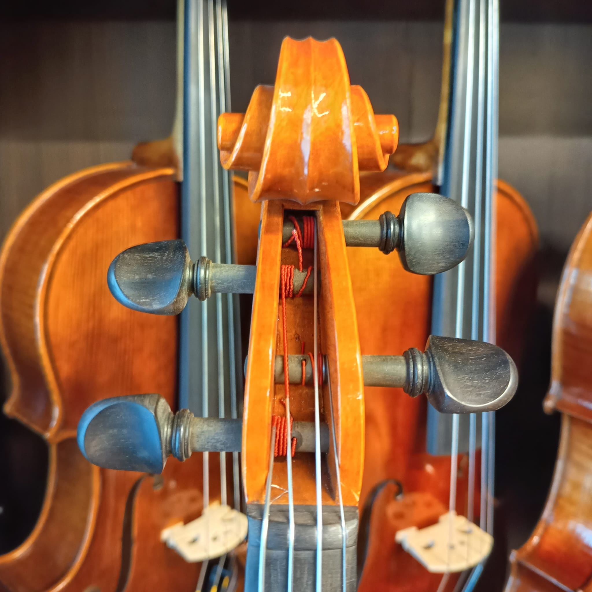 VIOLA MARIO GIO 16" 2019 (Cod.001)
