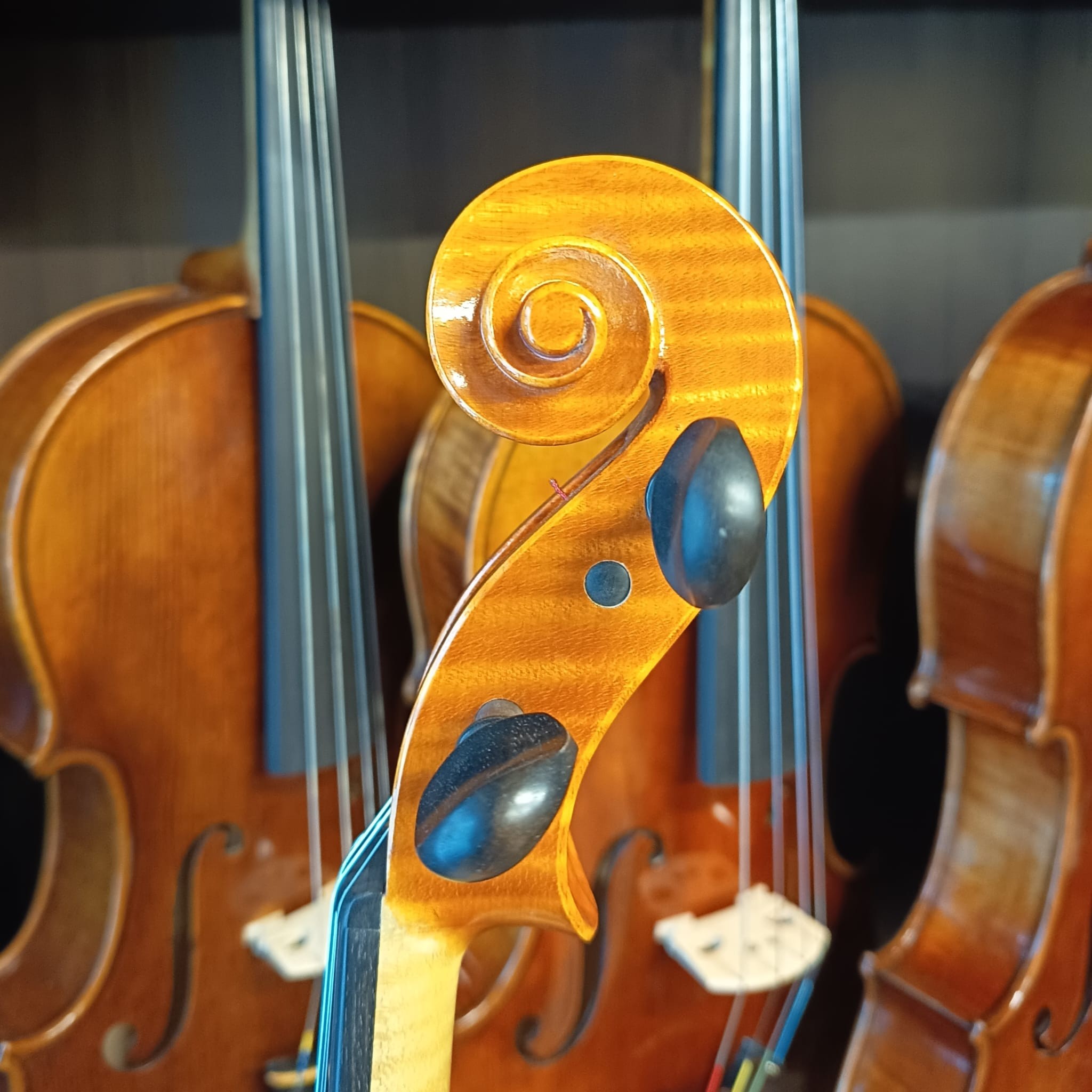 VIOLA MARIO GIO 16" 2019 (Cod.001)