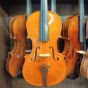 VIOLA MARIO GIO 16″ 2019 (Cod.001)