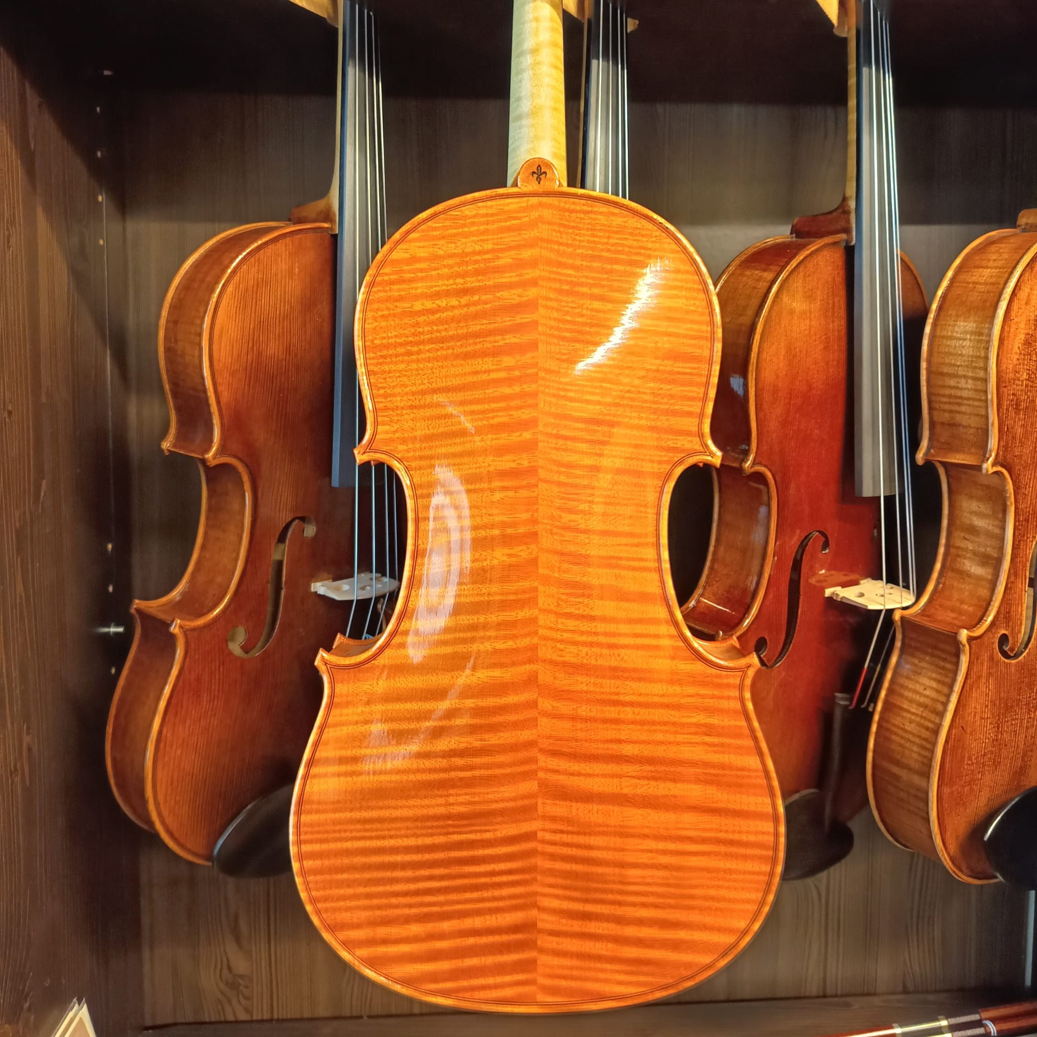 VIOLA MARIO GIO 16" 2019 (Cod.001)
