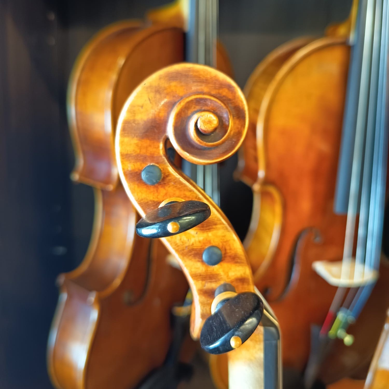 VIOLÍN MARIO GIO FLORENCIA 2022 (Cod. 015)