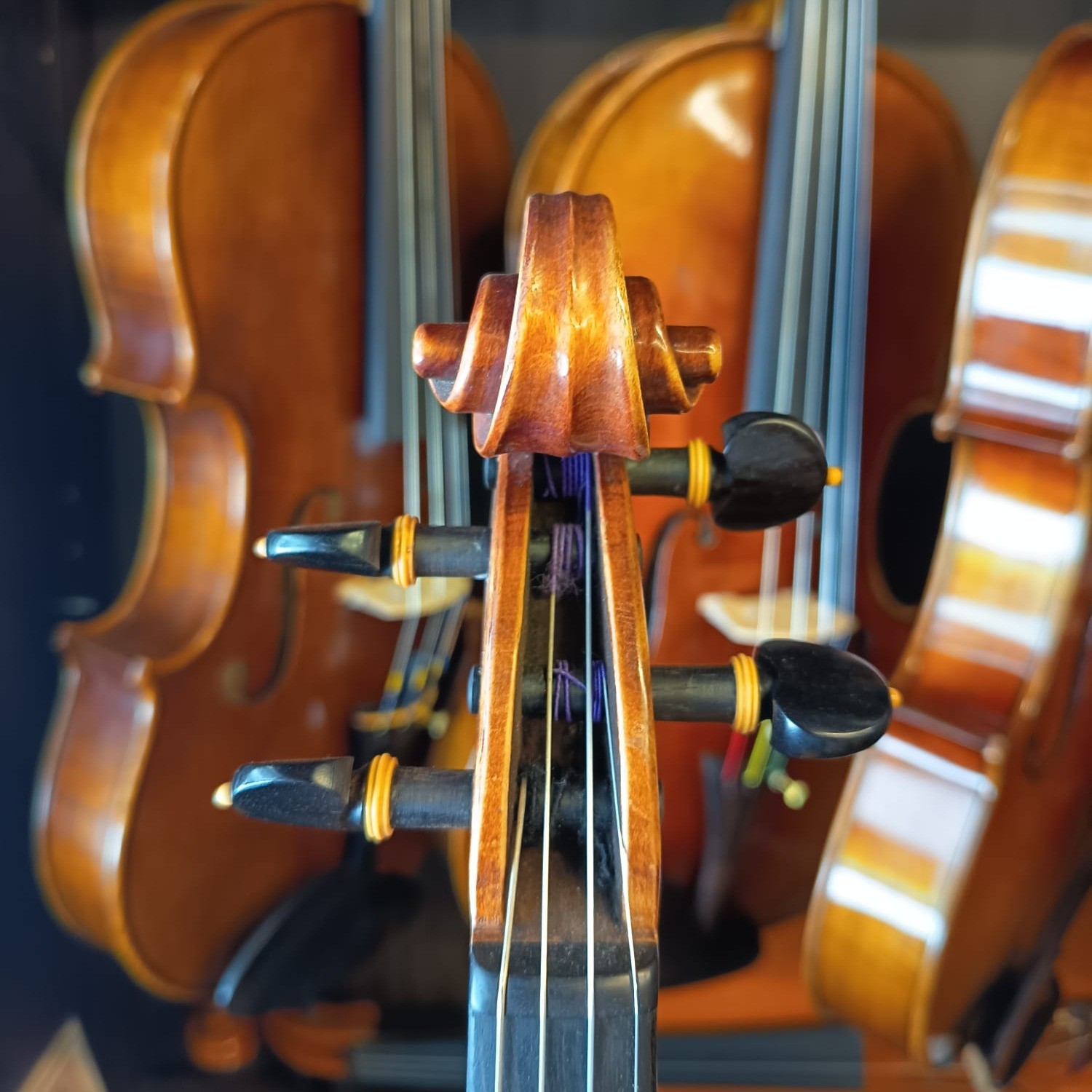 VIOLÍN MARIO GIO FLORENCIA 2022 (Cod. 015)