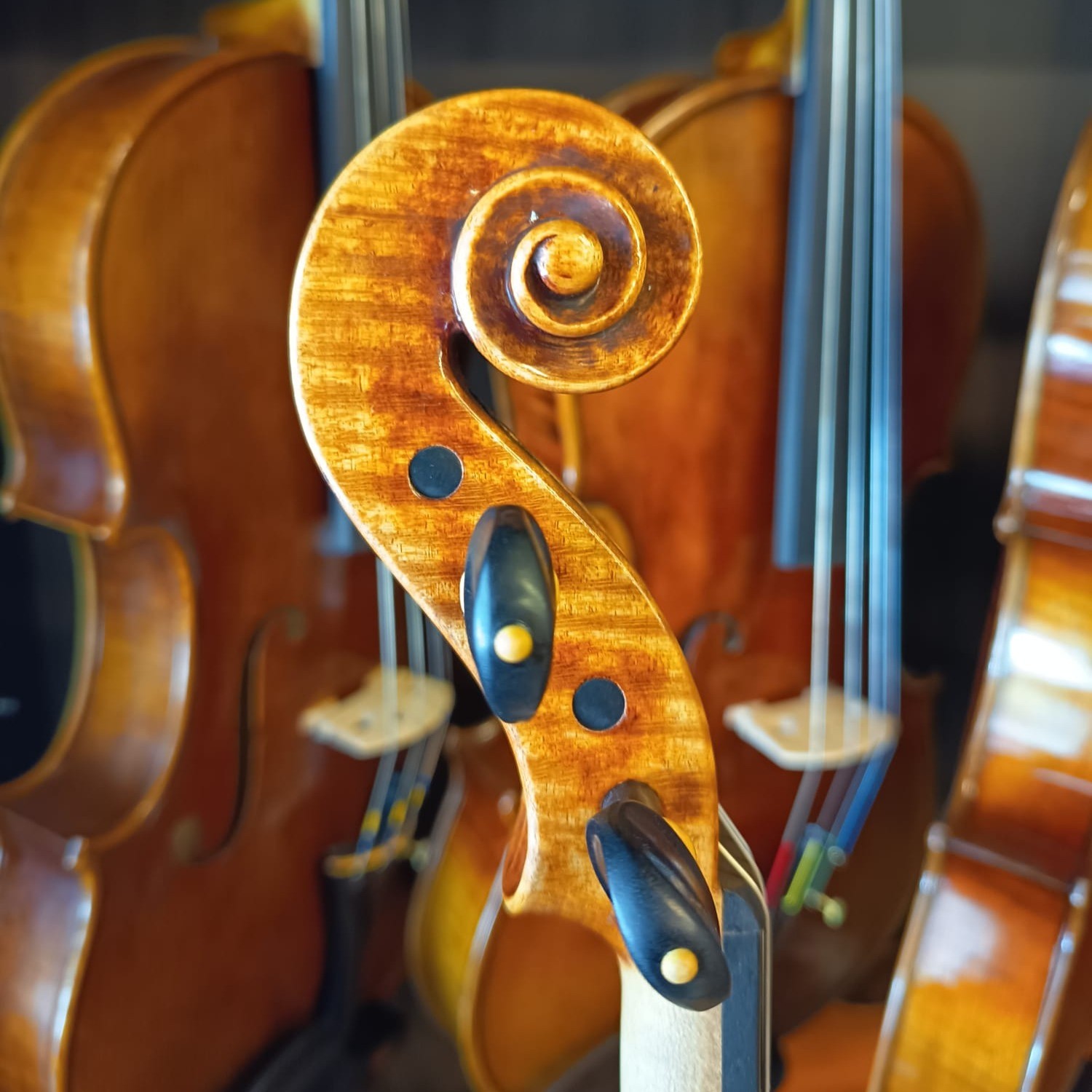 VIOLÍN MARIO GIO FLORENCIA 2023 (Cod. 023)