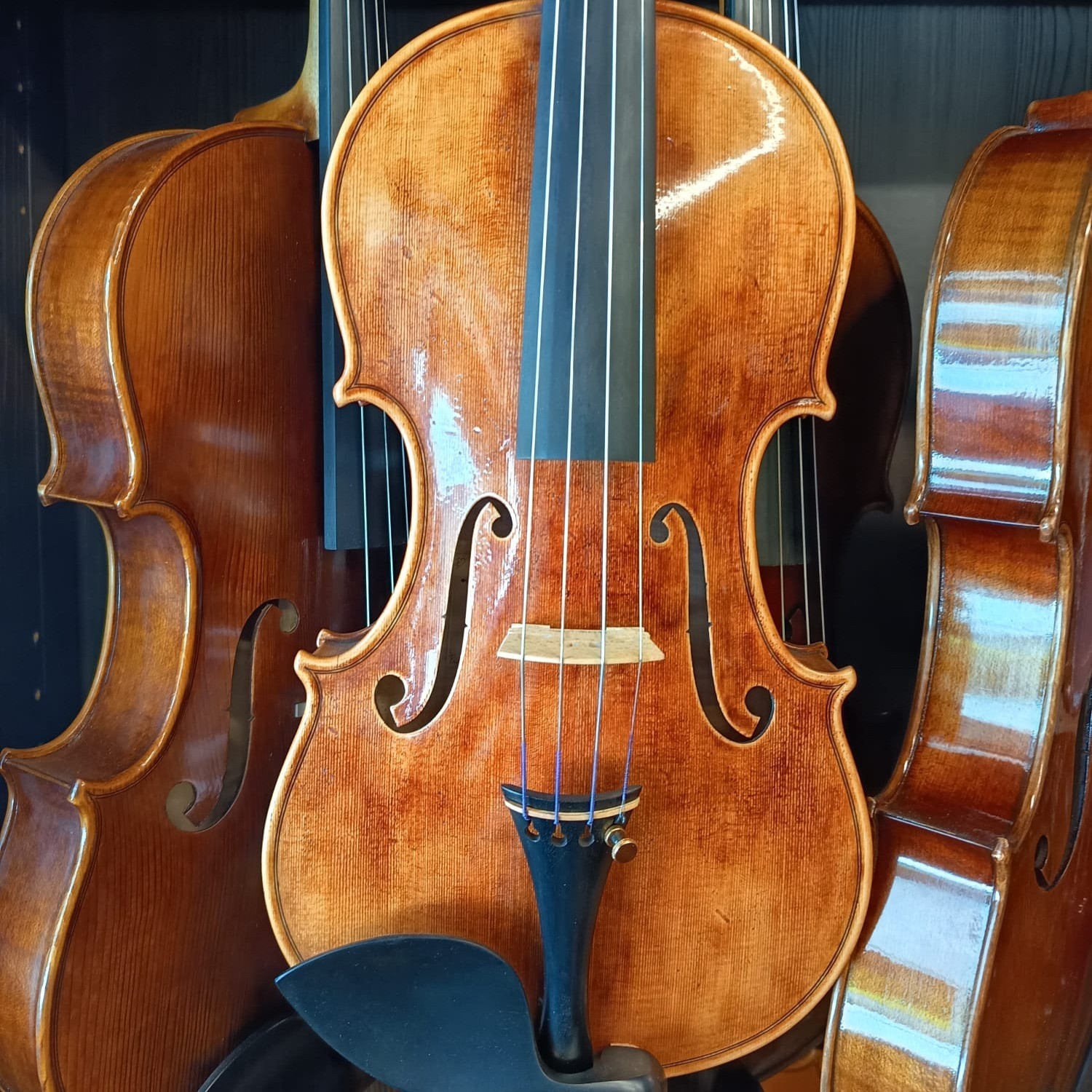 VIOLÍN MARIO GIO FLORENCIA 2023 (Cod. 023)