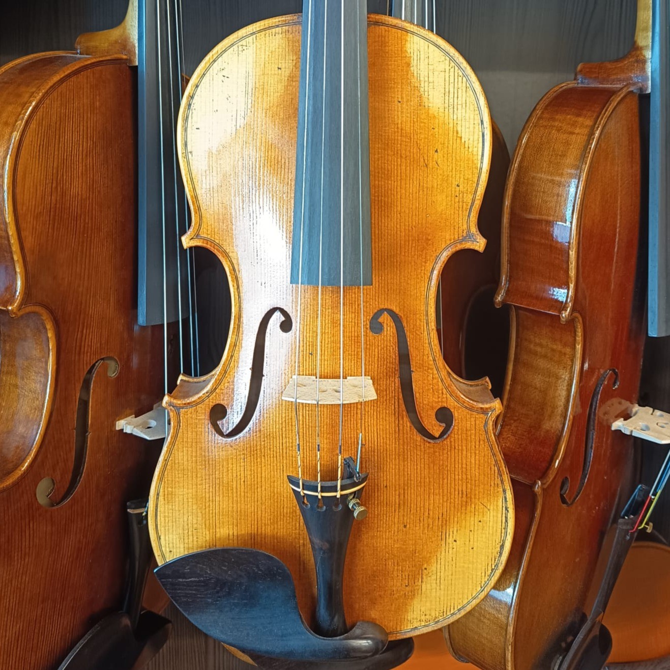 VIOLÍN MARIO GIO CREMONA 2022 (Cod. 014)