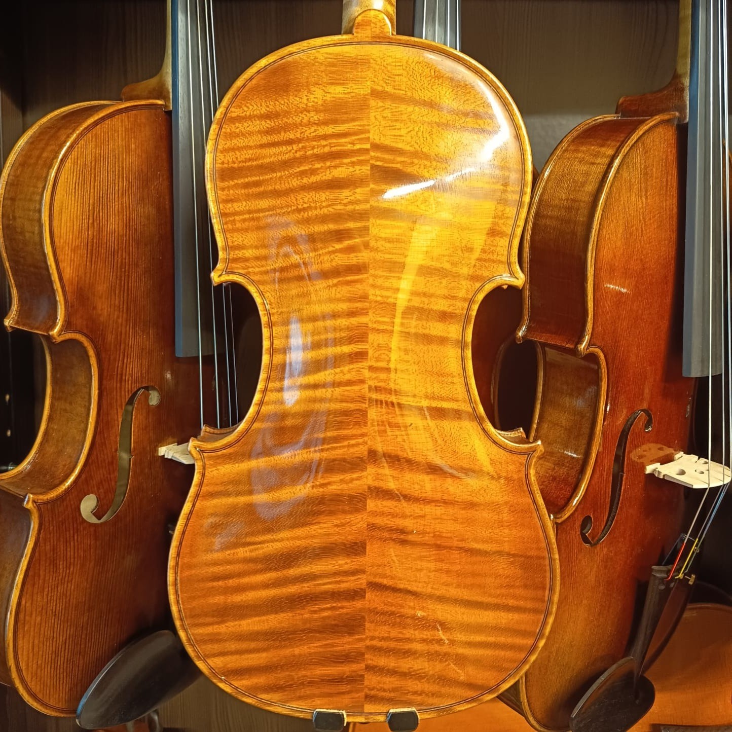 VIOLÍN MARIO GIO 2024 (Cod. 022)