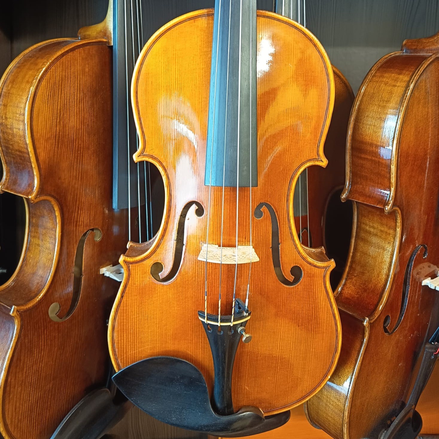 VIOLÍN MARIO GIO 2024 (Cod. 022)