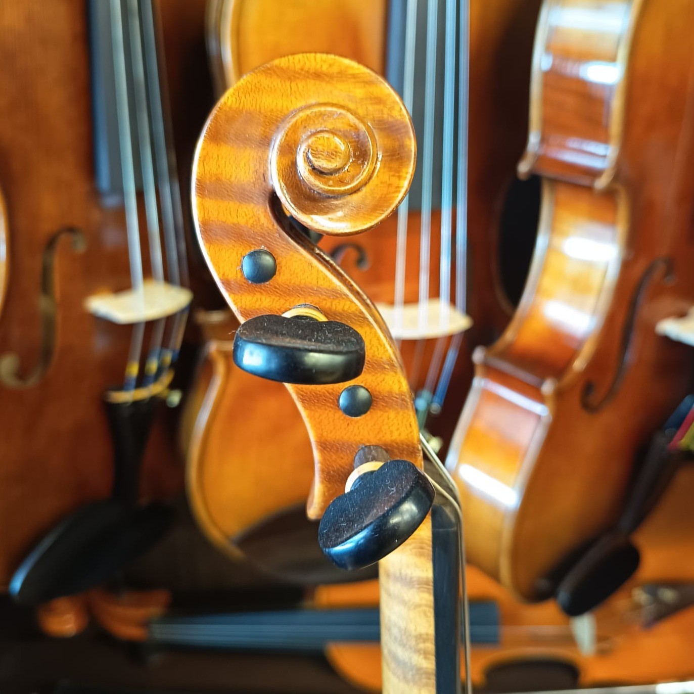 VIOLÍN MARIO GIO 2024 (Cod. 022)