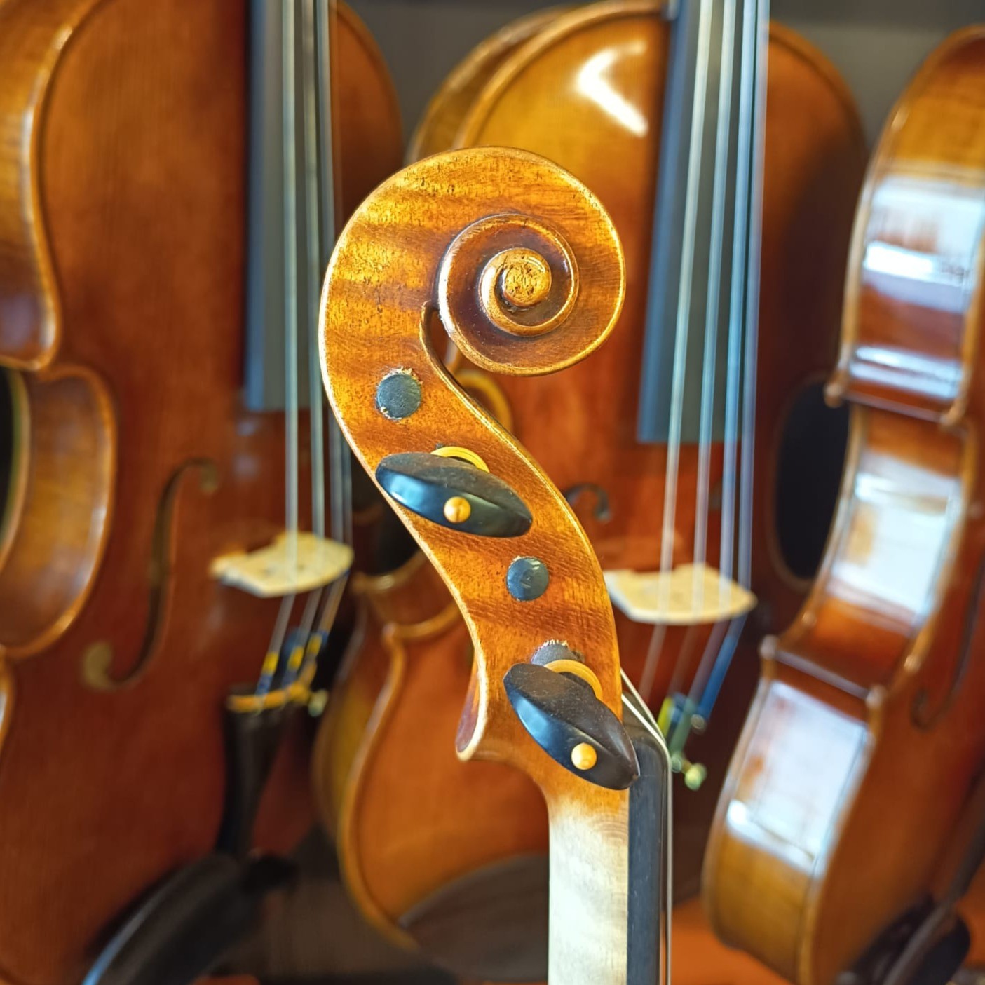VIOLÍN MARIO GIO 2022 (Cod. 011)