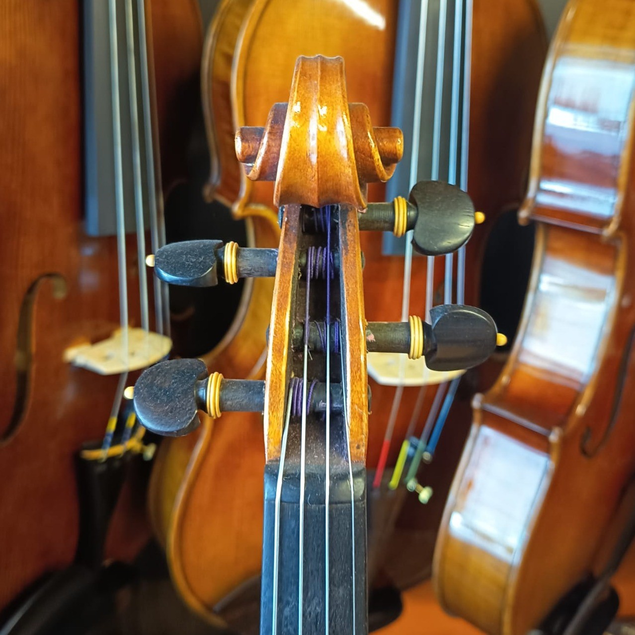 VIOLÍN MARIO GIO 2022 (Cod. 011)