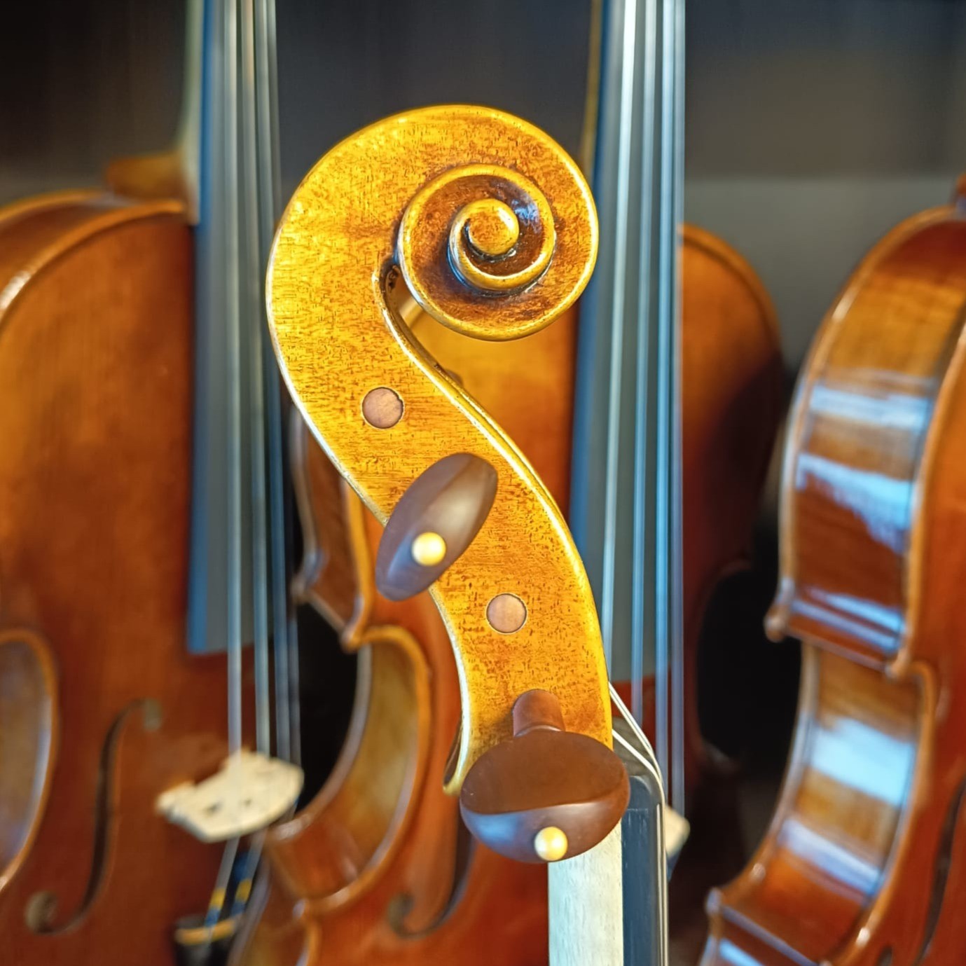 VIOLÍN ITALIANO D. PIZZOLATO 2025