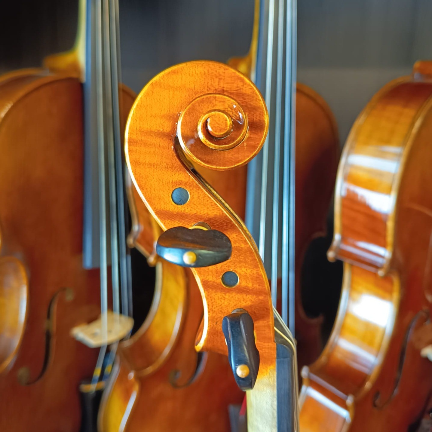 VIOLÍN ITALIANO ANDREA LISSONI 2024
