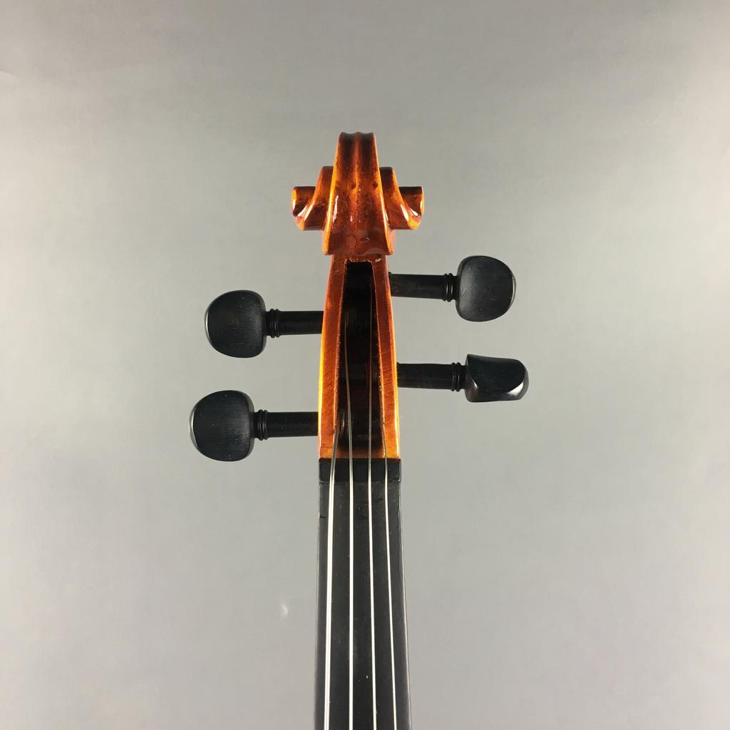 VIOLA ELIZABETH THYME ADVANCE
