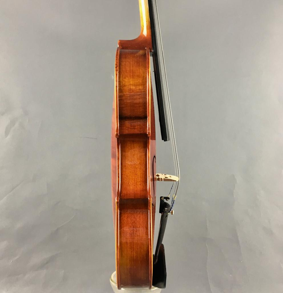 VIOLA ELIZABETH THYME ADVANCE