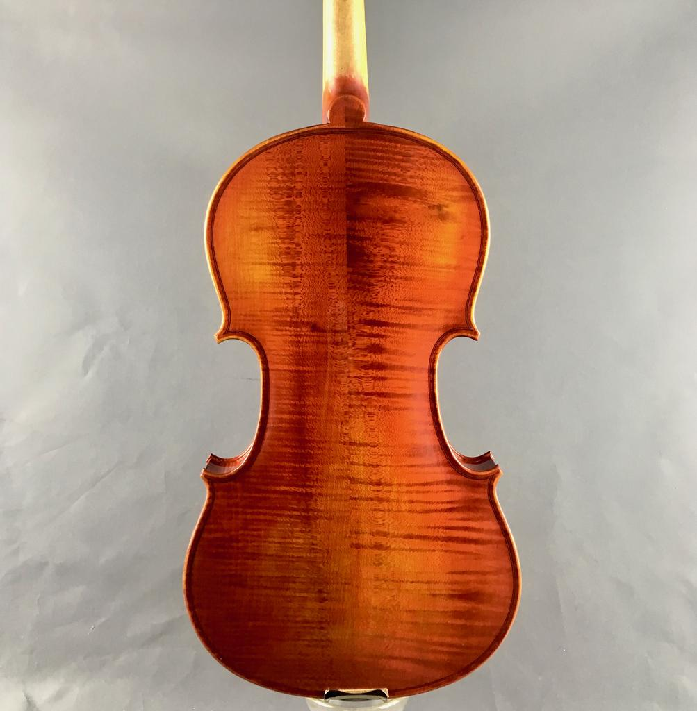 VIOLA ELIZABETH THYME ADVANCE