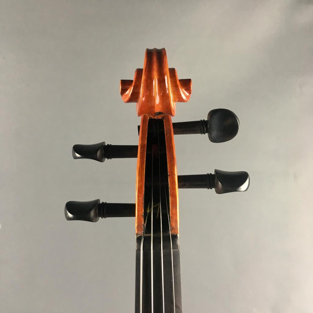 VIOLA ELIZABETH THYME ADVANCE