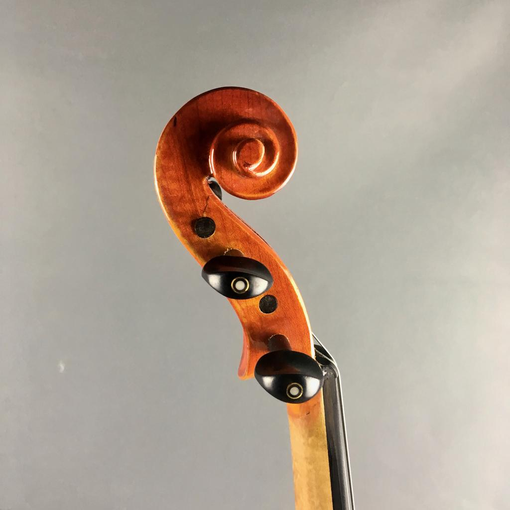 VIOLA ELIZABETH THYME ADVANCE