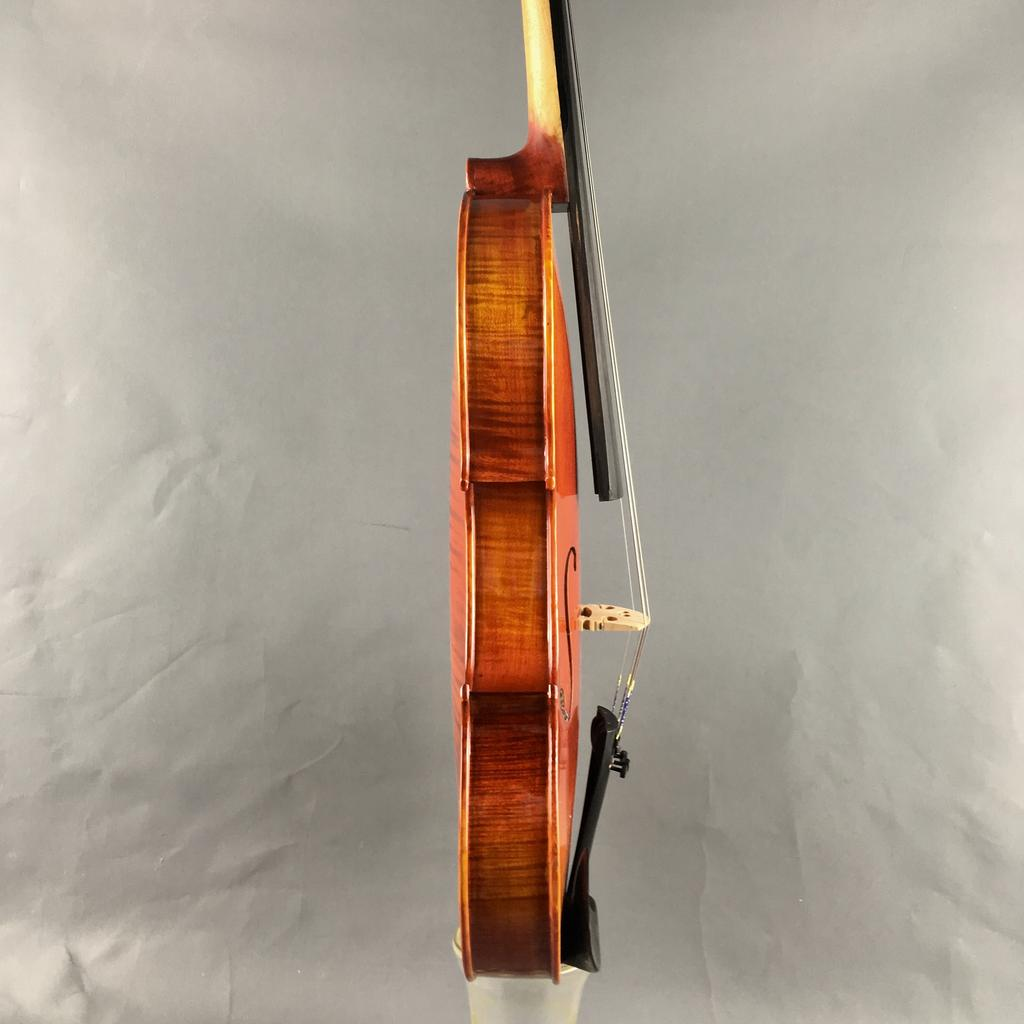 VIOLA ELIZABETH THYME ADVANCE