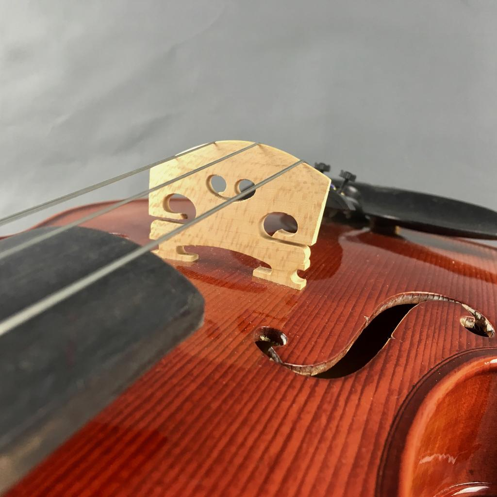 VIOLA ELIZABETH THYME ADVANCE