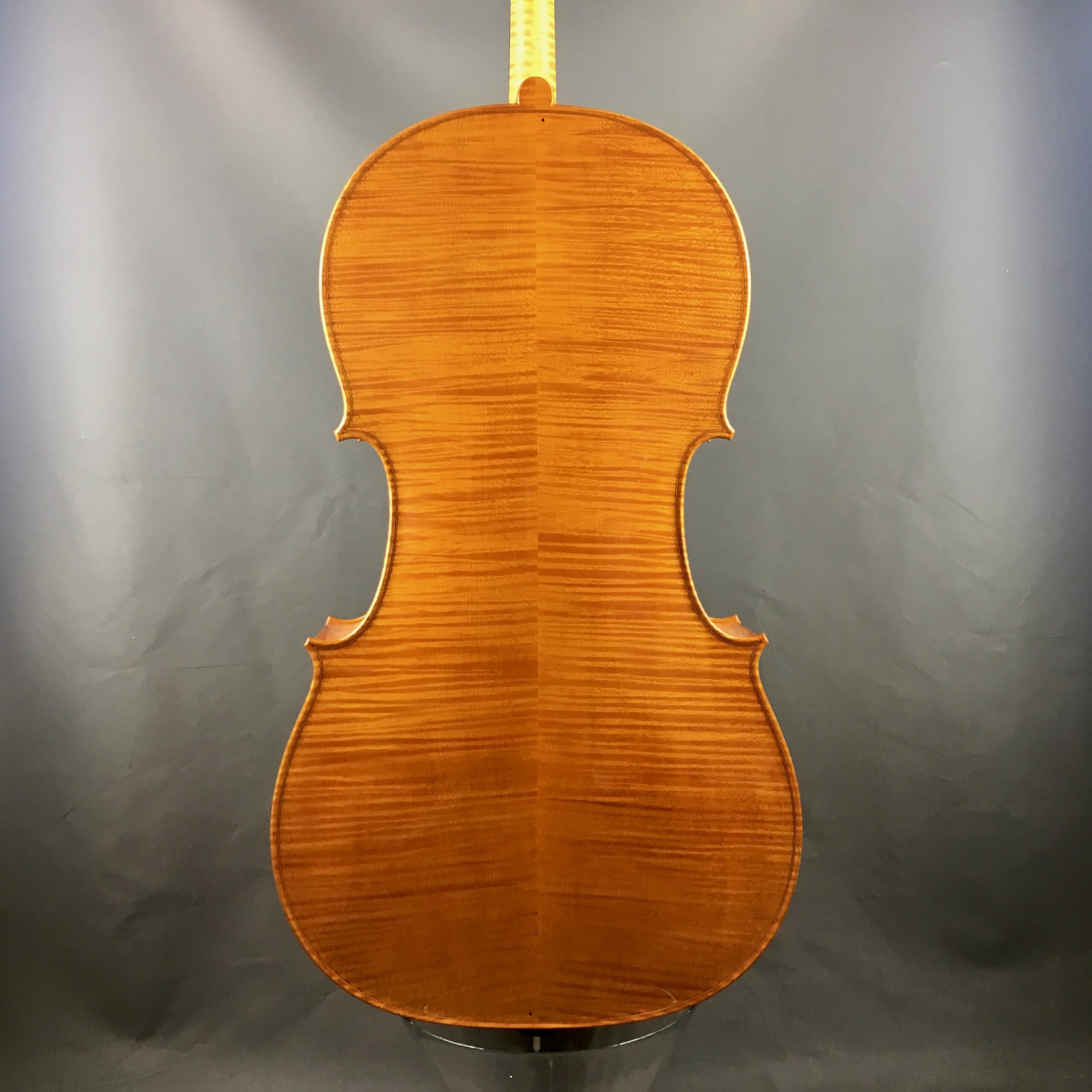 VIOLONCELLO BI "Trienale Cremona" 2018