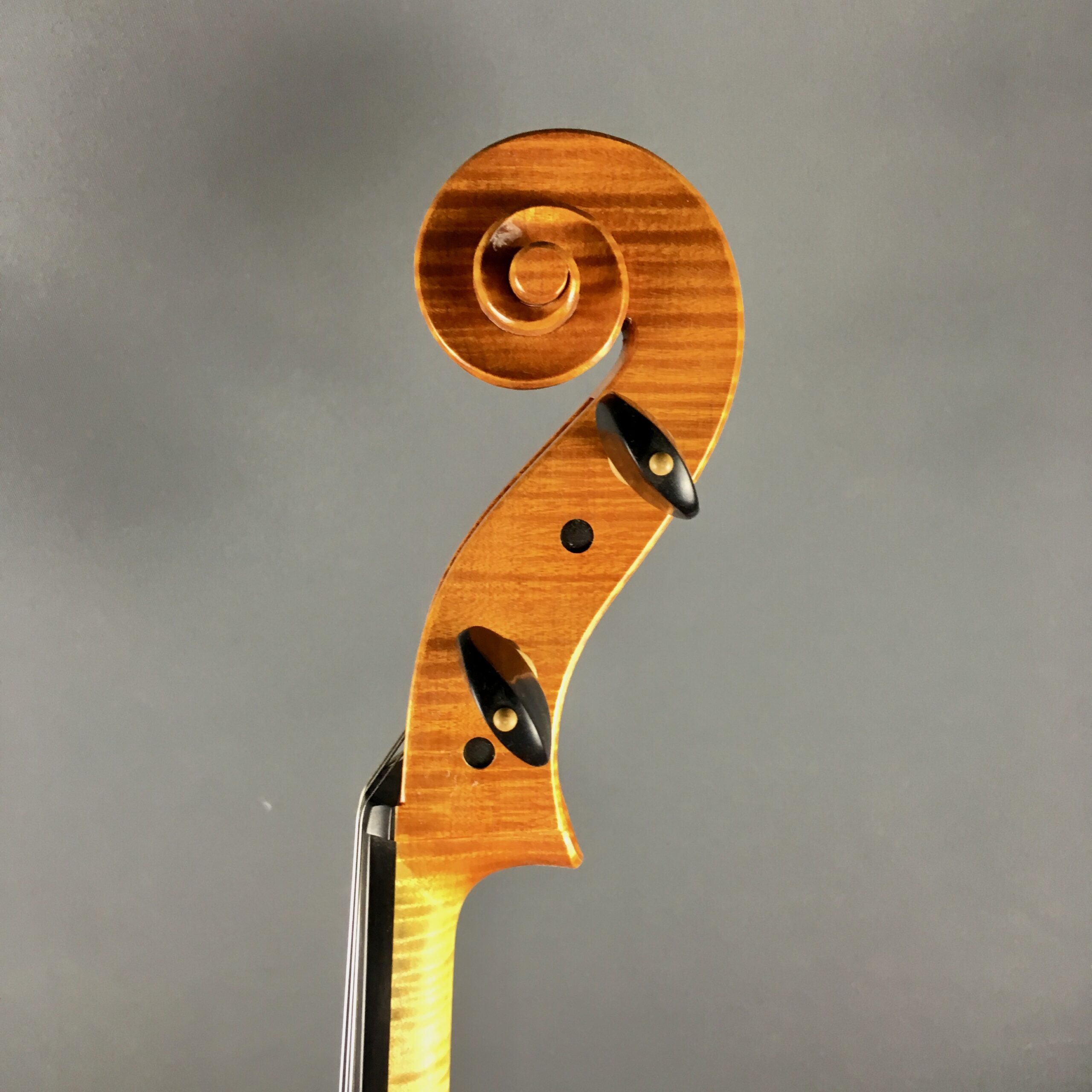VIOLONCELLO BI "Trienale Cremona" 2018