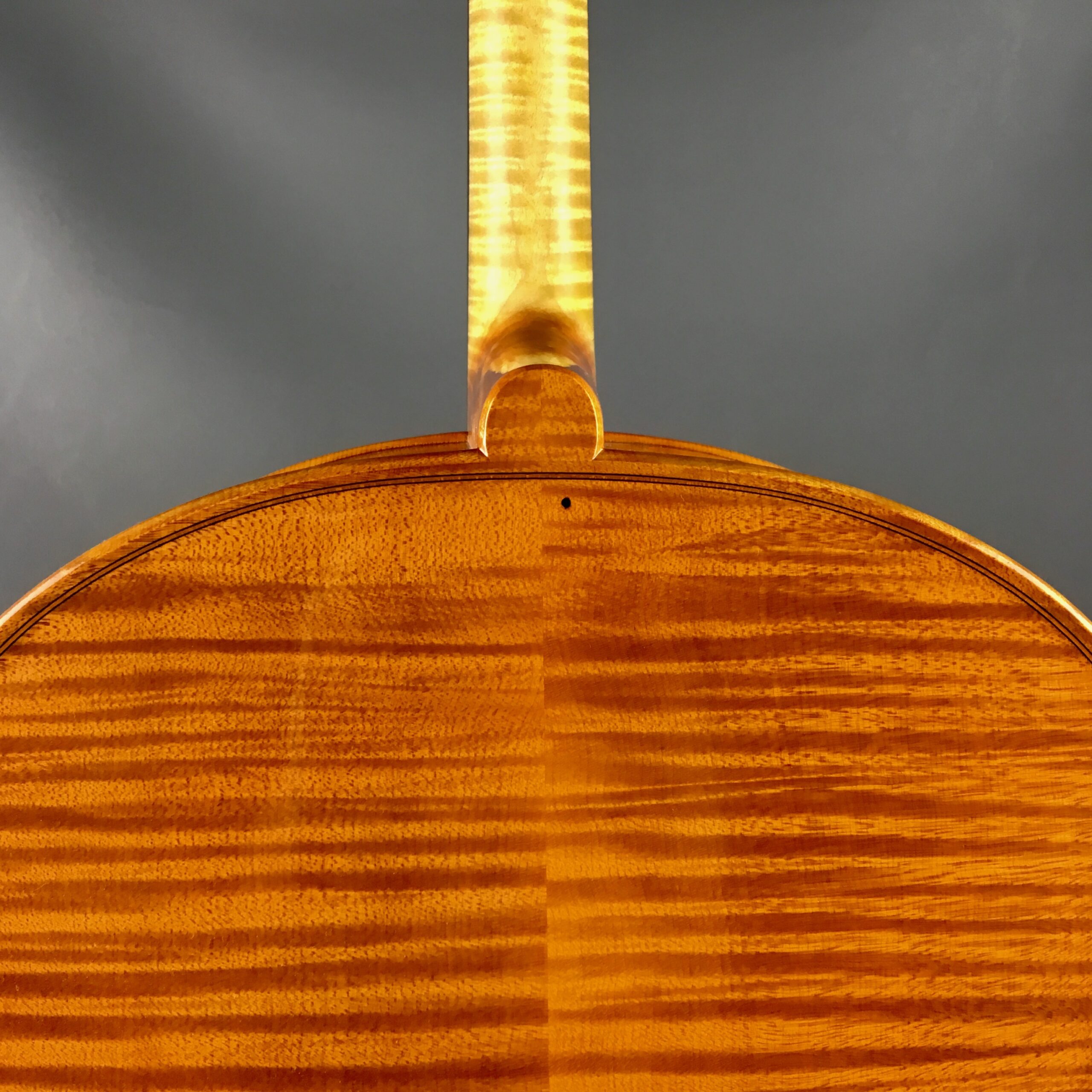 VIOLONCELLO BI "Trienale Cremona" 2018