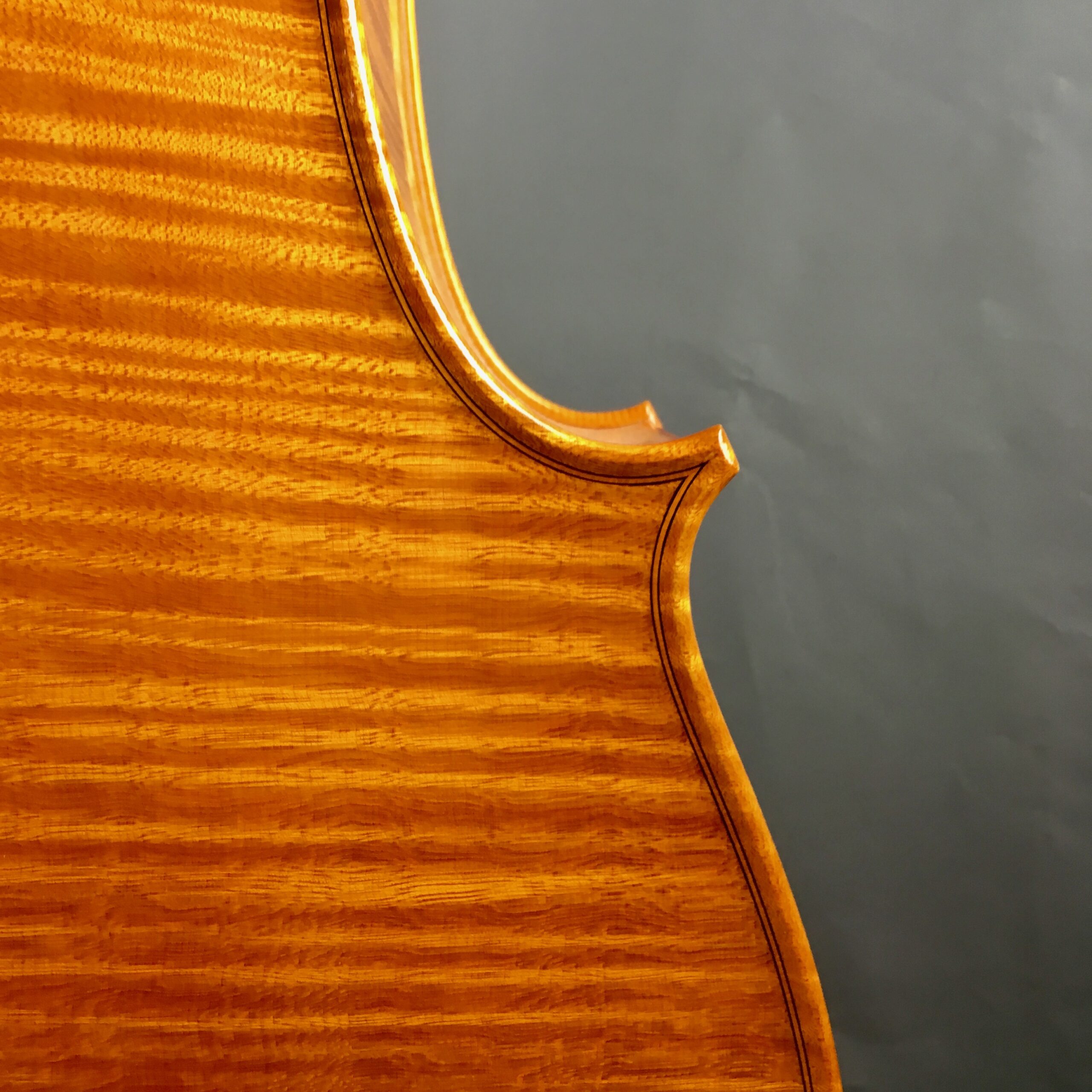 VIOLONCELLO BI "Trienale Cremona" 2018