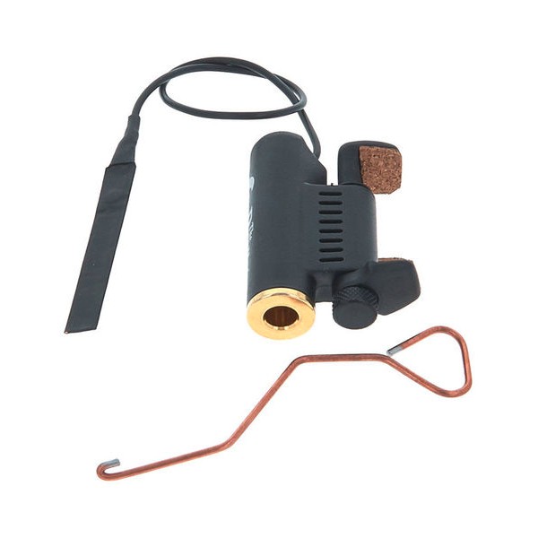 PASTILLA VIOLÍN DAVID GAGE THE REALIST
