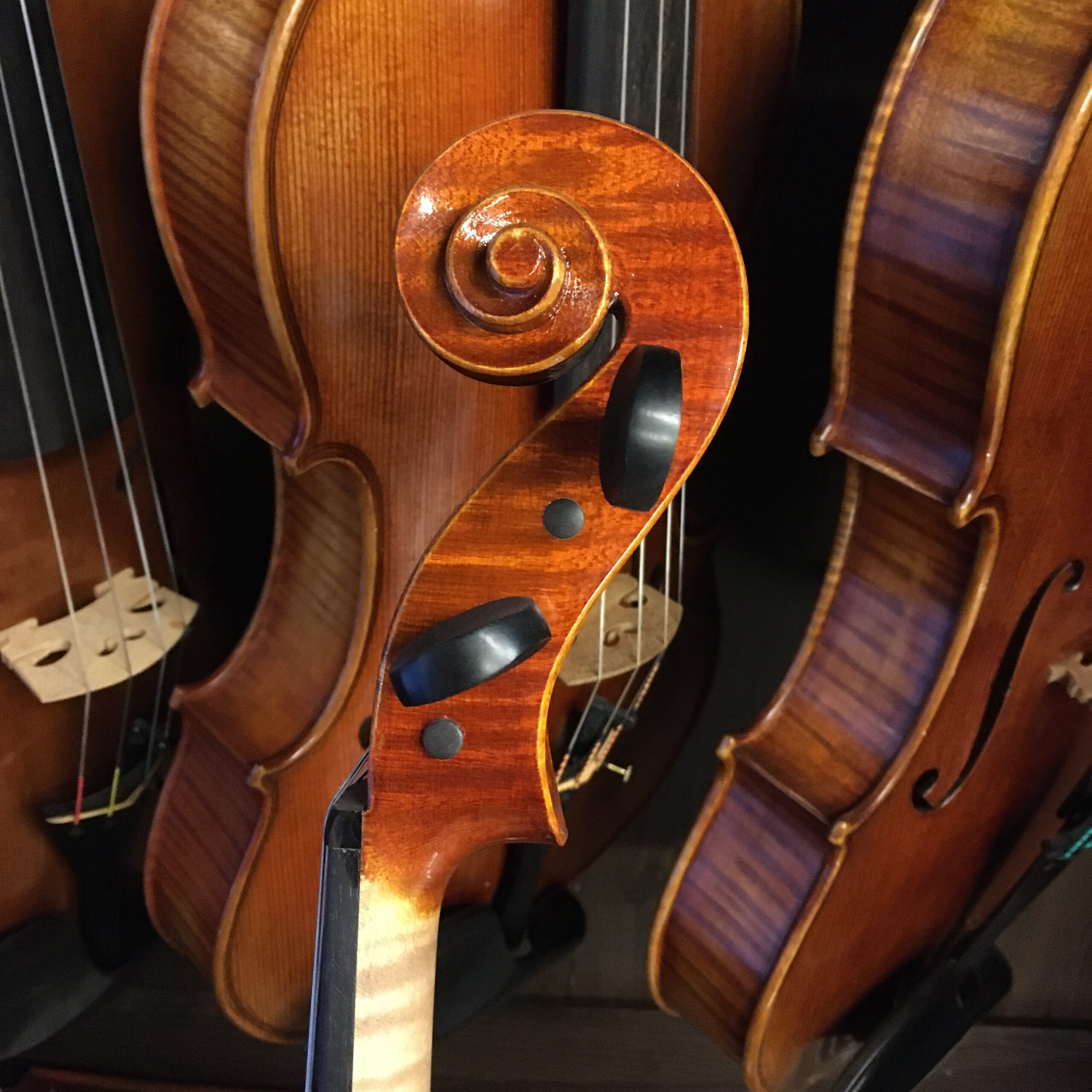 VIOLA EDGAR RUSS "SCALA PERFETTA"