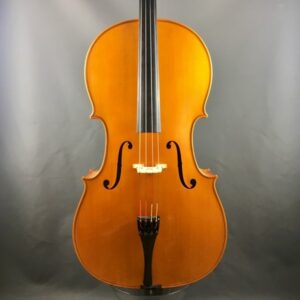VIOLONCELLO BI «Trienale Cremona» 2018