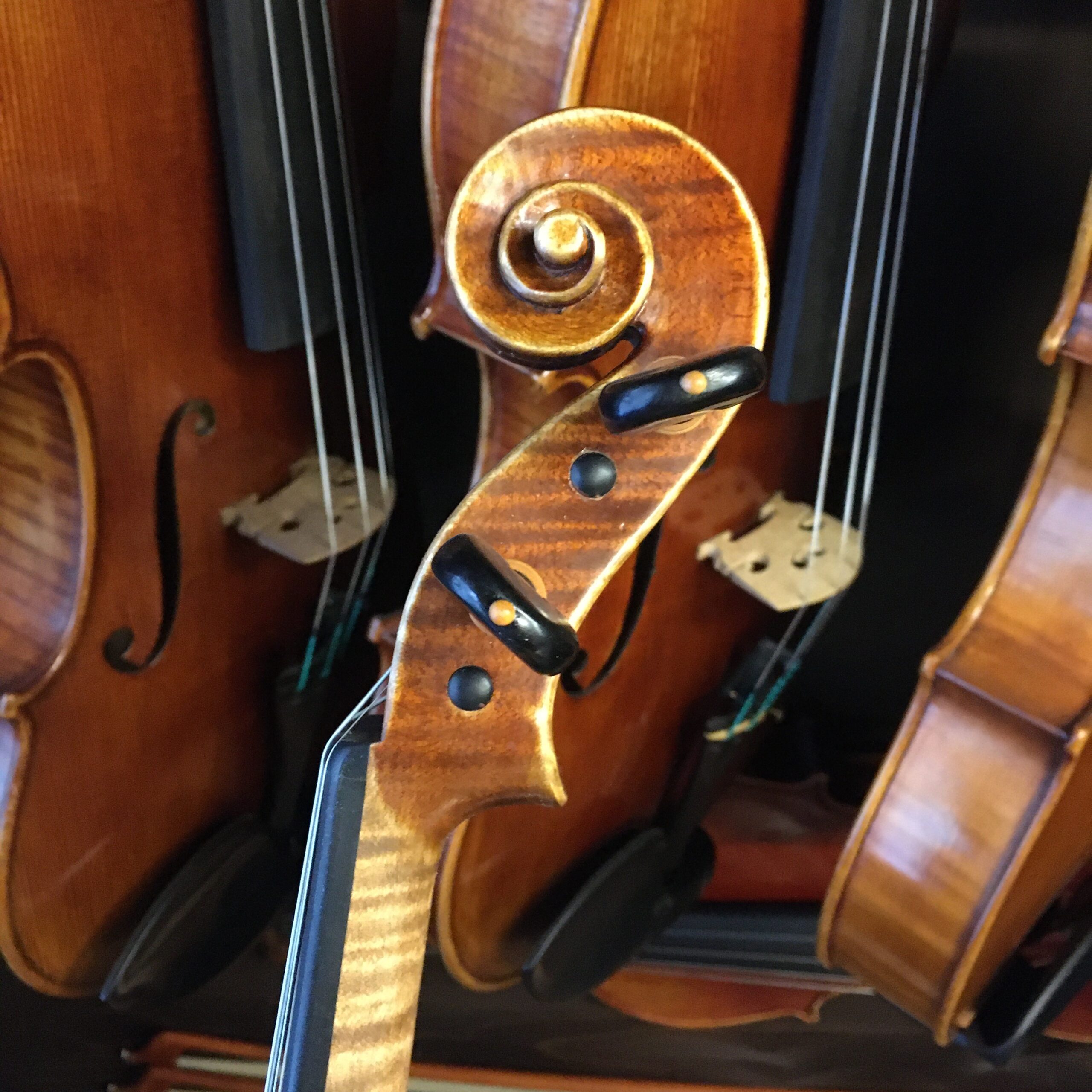 VIOLÍN MARIO GIO 2022 (Cod.002)