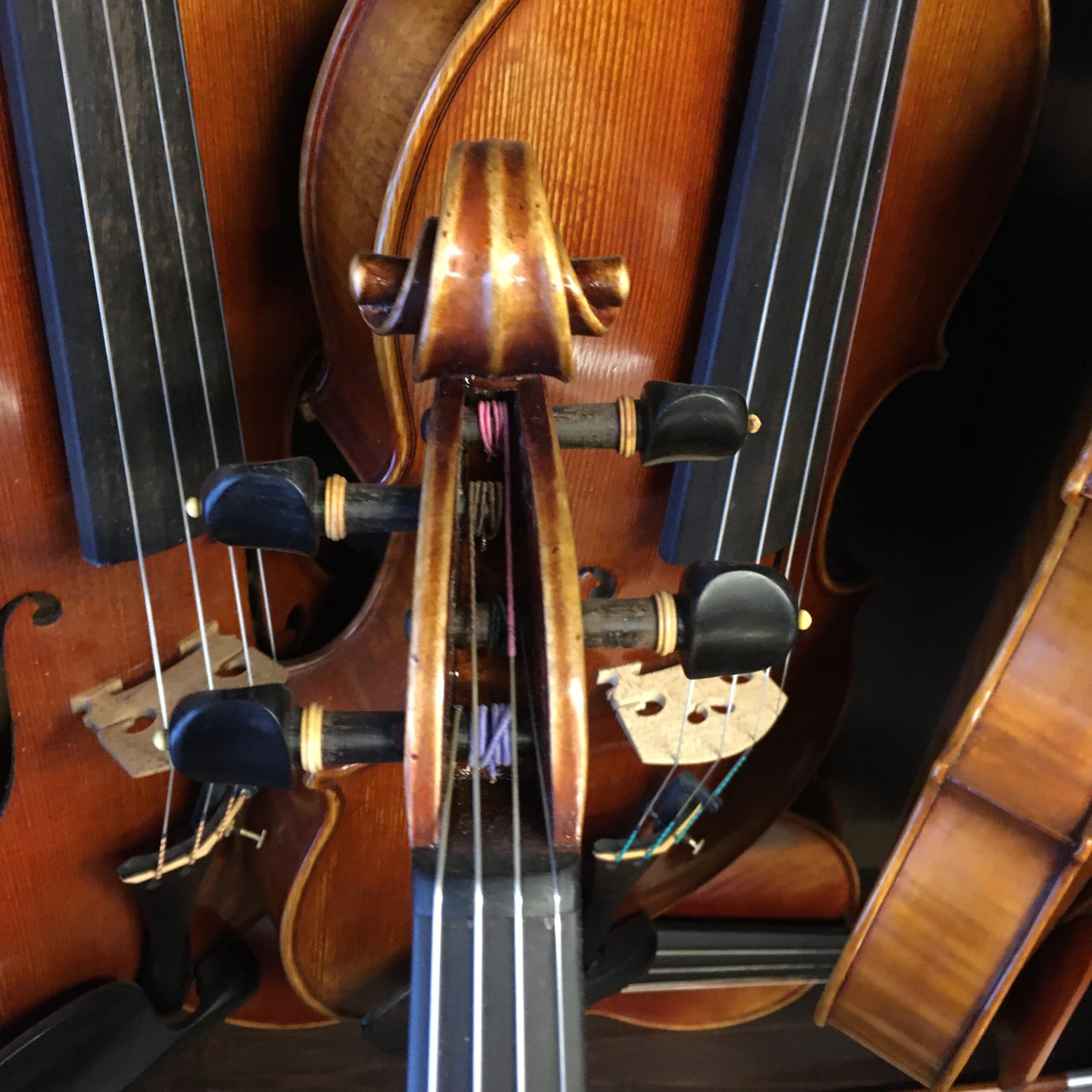 VIOLA MARIO GIO 16" 2021 (Cod.007)